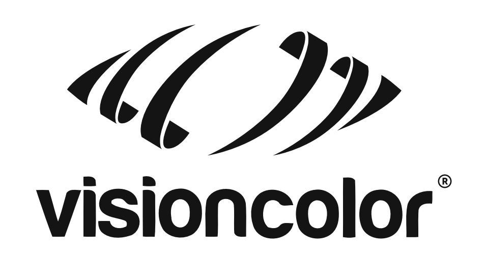 LogoVisioncolorPNG